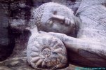 Lying Statue at Gal VIhara Polonnaruwa